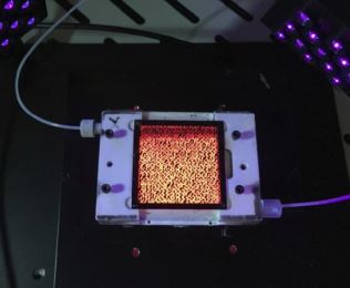 Microfluidics chip