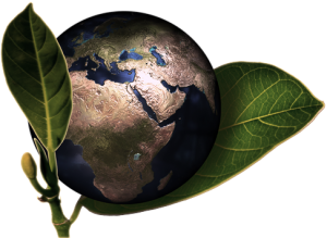 Small globe and leaves / © Pixabay